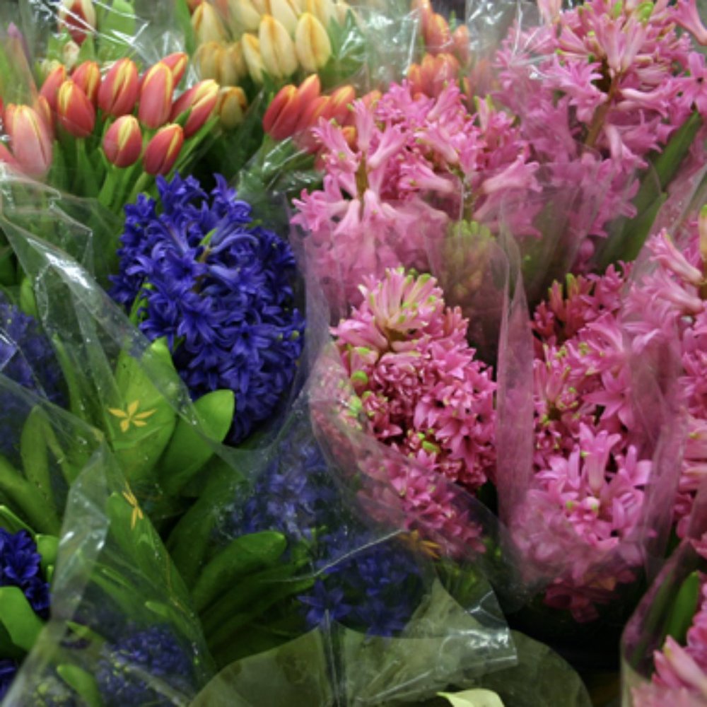 Meet your Posher, AnnaBella